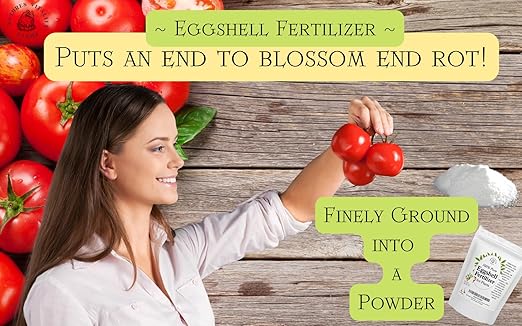 U.S.A. Eggshell Fertilizer Powder, 4 Ounce, for Tomato Plants, Orchids, Calcium Magnesium Phosphorus Powder for Indoor and Outdoor Flowers and Plants