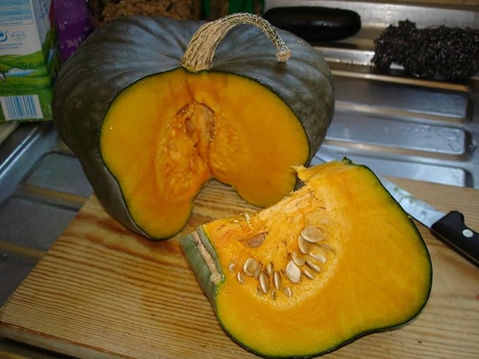 NIKA SEEDS - Seeds Vegetable Pumpkin Queensland Blue (Cucurbita Maxima) - 10 Seeds
