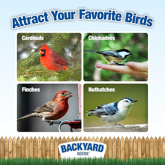 CountryMax Backyard Seed Berries 'n Nut Blend Bird Seed for Woodpeckers, Cardinals and Finches (20 Pounds)