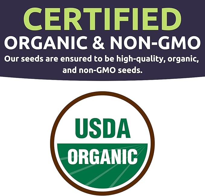 Organic Mixed Gourd Seeds – Two Seed Packets! Over 30 Open Pollinated Non-GMO Seeds – Sweet Yards Seed Co.