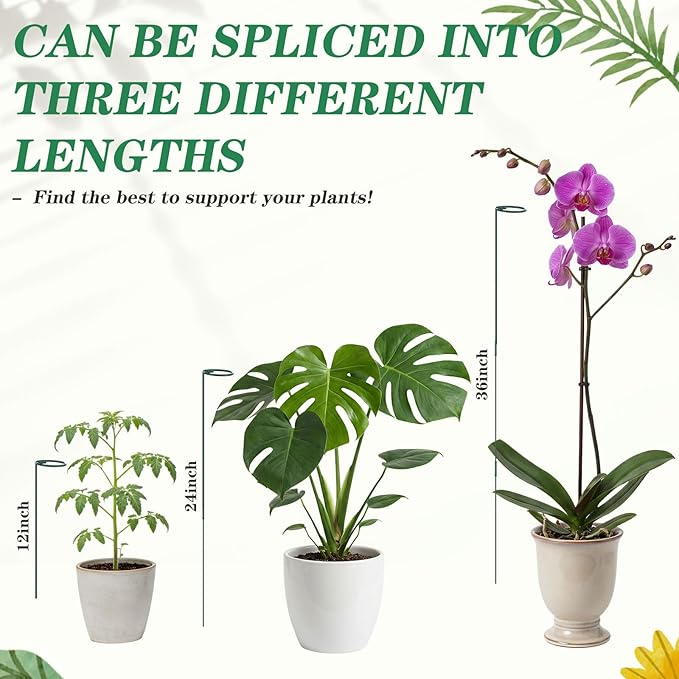 12 Pcs Plant Stake Support Adjustable Three Sizes(12 or 24 or 36 Inch) Monstera Support Stakes for Outdoor or Indoor, Garden Plant Stakes for Flowers Amaryllis Tomato Lilies Peony Rose