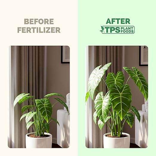 Elephant Ear Fertilizer – Liquid Plant Food for Bigger Leaves, Lush Growth & Stronger Roots, 8 oz