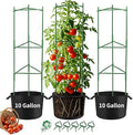 Tomato Cages with 10 Gallon Grow Bags for Garden, 3 Packs Up to 50” Height Heavy-Duty Steel Tomato Trellis, Adjustable Plant Stakes Support with Plant Clips, Garden Trellis for Climbing Vegetable