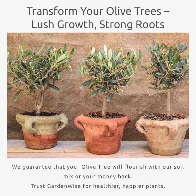 GARDENWISE Organic Olive Tree Potting Mix – Fast-Draining, Nutrient-Rich Soil for Indoor & Outdoor Olive Trees – Mediterranean Plant Care – Long-Lasting Formula (2 QUARTS)