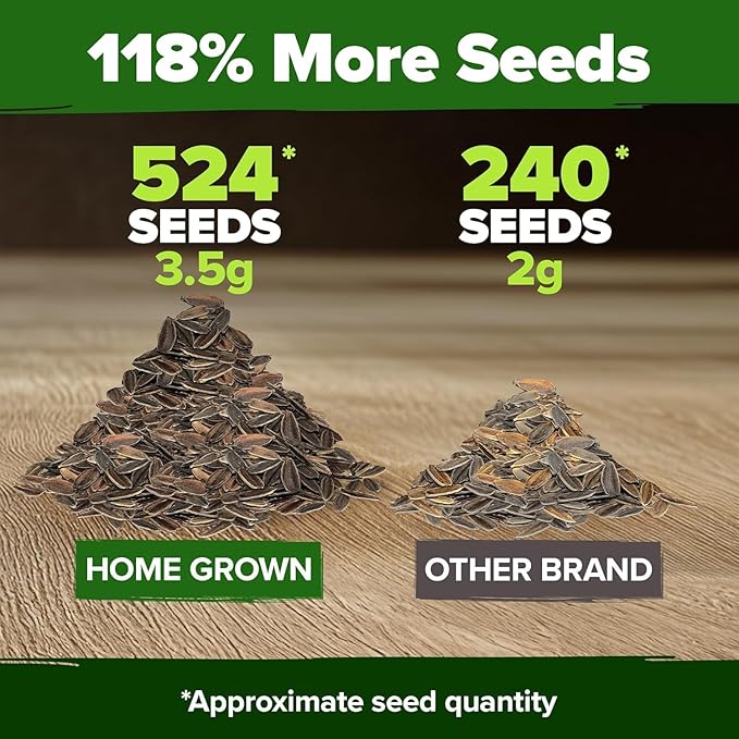 HOME GROWN Zinnia Dahlia Seeds Pack for 2026 Non GMO 524 Flower Seeds | Vibrant Zinnia Elegans for Pollinator Gardens, Borders & Containers | Easy-to-Grow Outdoor Blooms