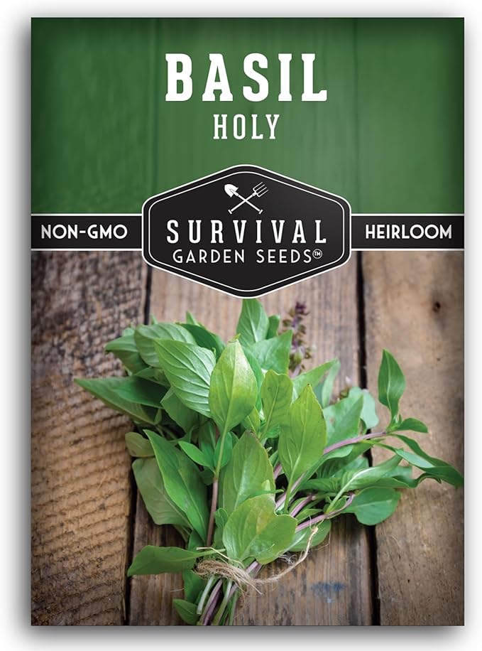 Survival Garden Seeds - Holy Basil Seed for Planting - 1 Packet with Instructions to Plant and Grow The Indian Sacred Herb Tulsi in Your Home Vegetable Garden - Non-GMO Heirloom Variety - Indian Herb