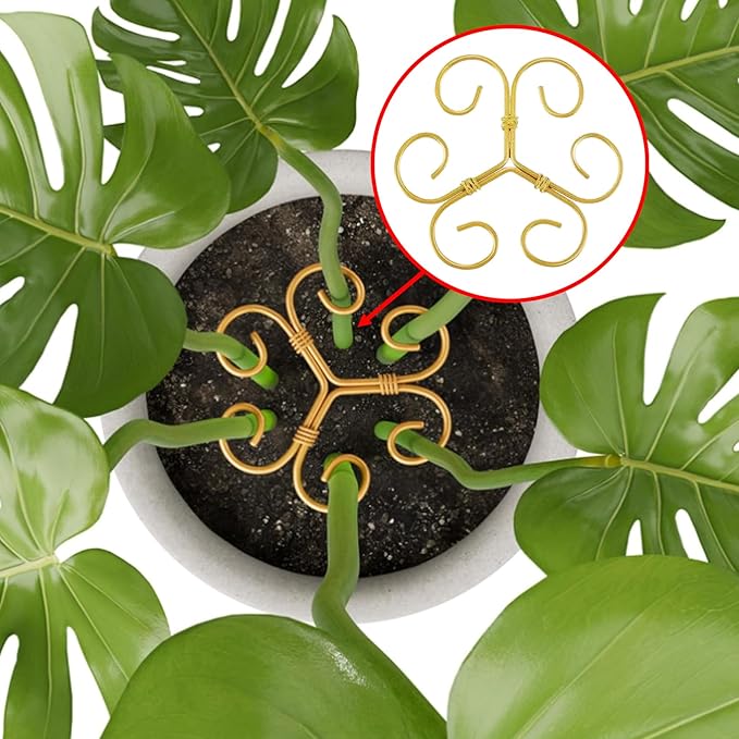 Plant Stem Supports, 5 Pack Iron Monstera Plant Support for Indoor Plants - Plant Stabilizer Stake Holder for Climbing Plants, Monstera Deliciosa, Pothos, Vine for Stable Growth