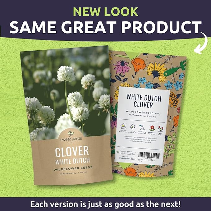 White Dutch Clover - Bulk 1 Pound Pouch - 600,000 Flower Seeds for Planting - Trifolium repens
