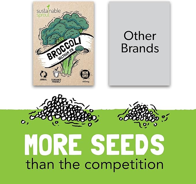 Vegetable Seeds for Planting: 13 Heirloom Veggie Seeds for Planting Home Garden: Tomatoes Lettuce Beets Bell Pepper Zucchini Broccoli Beans Cabbage Cauliflower Onion Cucumber by Sustainable Sprout