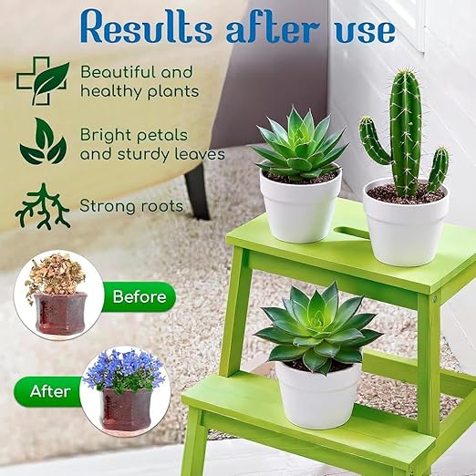 Cactus & Succulent Plant Food | Concentrated Nutrient Solution for Indoor & Outdoor Plants | Made in USA | Promotes Growth & Blooms