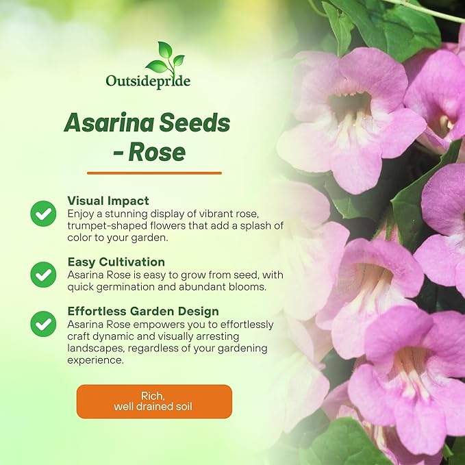 Outsidepride Rose Asarina Climbing Snapdragon Seeds - 100 Pcs Perennial Flower Seeds for Planting, Easy to Grow Climbing Vines w/Attractive Flowers for Containers, Trellises, & Ground Cover