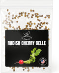 Fall & Winter Cherry Belle Radish Seeds for Indoor & Outdoor Planting – 200+ Non-GMO Heirloom Crisp Round Roots, High Germination (Raphanus sativus)