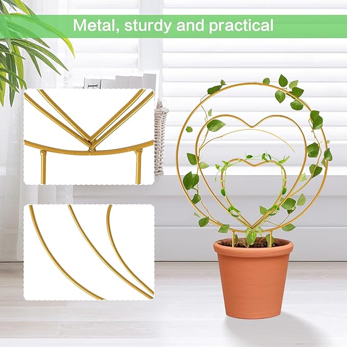 Hoya Trellis 3 Size Indoor Plants Flower Support Stakes Round or Heart Metal Trellis Set Garden Tool Accessories for Small Potted Vine Climbing Houseplants (GoldenCH)
