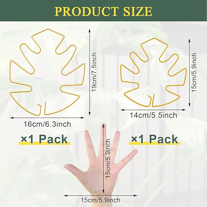 Plant Stem Support 2 Pack, Adjustable Metal Monstera Plant Support Small & Large, Unique Design Plant Supports for Indoor Plants Moss Pole Growth (Gold)