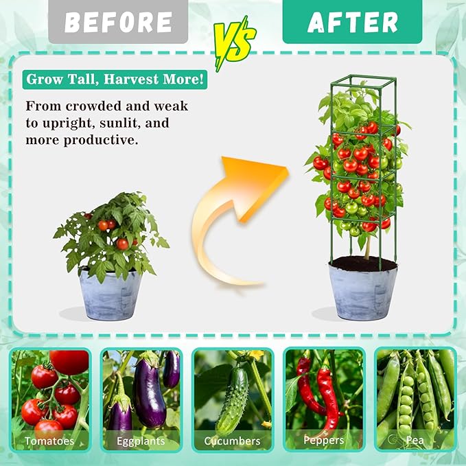 Riare 6 Pack Square Tomato Cages for Garden Plant Support- Up to 60 Inch Tomato Cage Garden Stakes Tomato Trellis for Potted Plants Raised Garden Bed Climbing Vegetables Flowers Outdoor Indoor