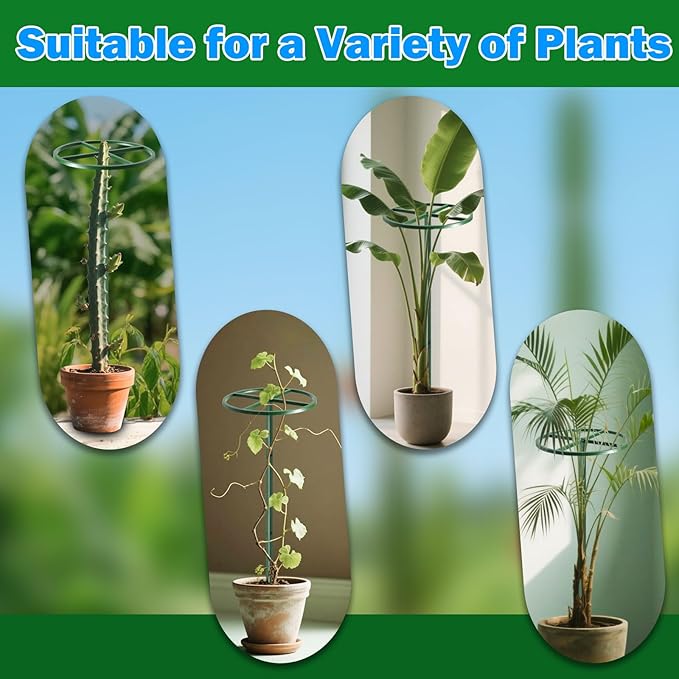 1 Pcs Adjustable Round Dragon Fruit Trellis,Durable Metal Plant Trellis Outdoor Climbing Plants Support Frame for Vertical Gardening Trees Cactus Green