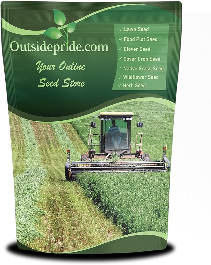 Outsidepride Perennial Alfalfa Seeds for Planting - 1 lb High Yield, Nitrocoated, Inoculated Winter Hardy Forage Legume Seeds for Growing Lush Green Grass Lawns, Pastures, & Hay for Livestock