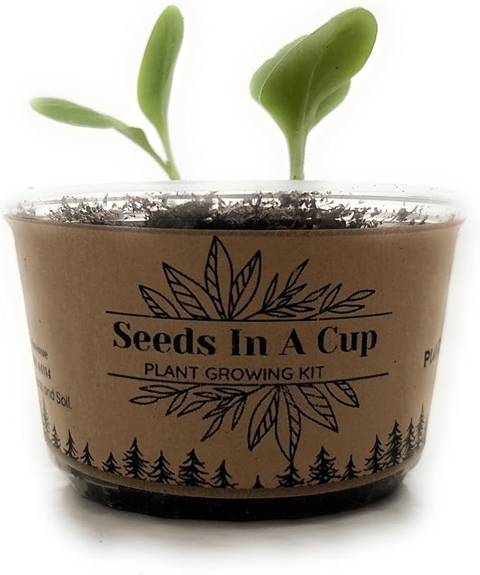 Seeds In A Cup: Herb Growing Kit | Indoor Herb Garden Starter | Premium Seeds and Soil | 3 Pack of Herbs | Multiple Combinations Available | (Salad Trio: Arugula Spinach Radish)