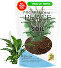 Professional Peace Lily Soil | Large 8.2 Quarts Ready to Use for Peace Lily Plants | Peat Moss, Coco Coir, Perlite, Dolomite | Made in USA