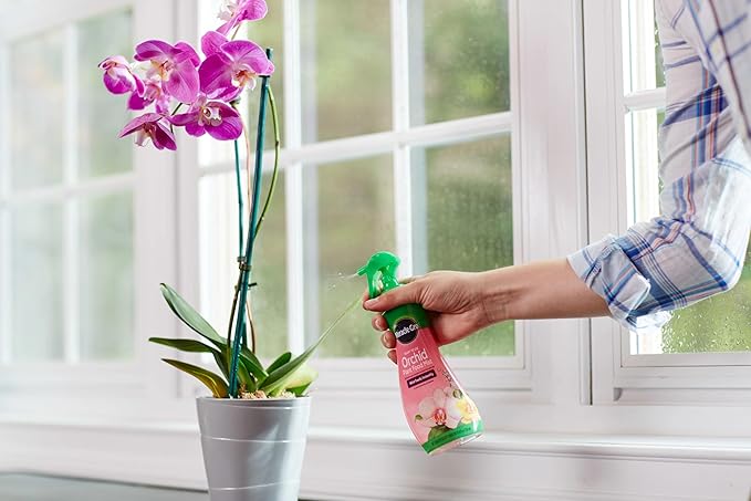 Miracle-Gro Ready-to-Use Orchid Plant Food Mist - Fertilizer Mist for Indoor Blooming Orchids - 8 fl. oz. (2 Pack)