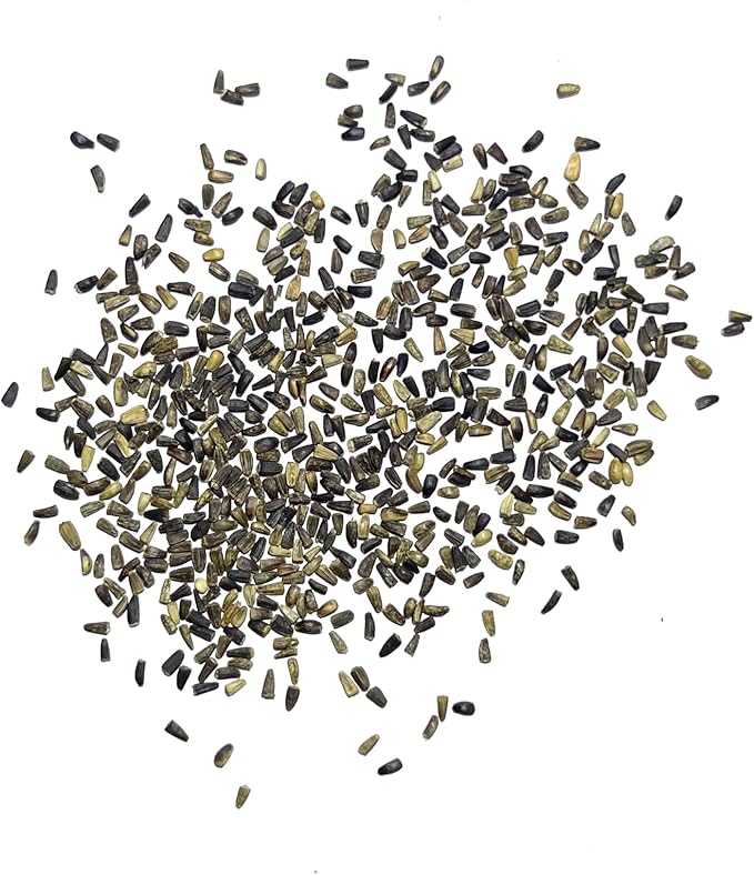 Seed Needs Garnet Stem Dandelion Seeds for Planting - Non-GMO, Heirloom & Untreated Edible Herbs - Grow Your own Food for Tortoises, Rabbits & Bearded Dragons (5 Packs)