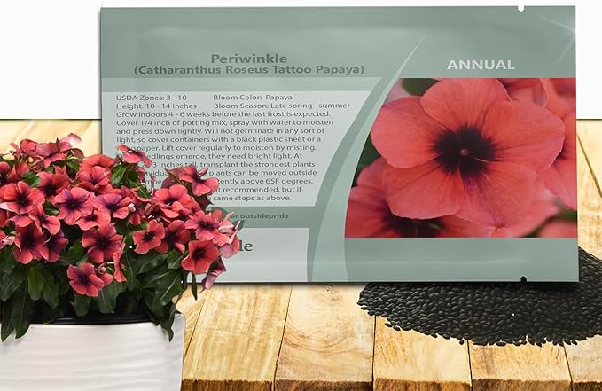 Outsidepride Papaya Periwinkle Seeds for Planting – 50 Pcs Annual, Fast-Blooming, Heat & Drought Tolerant Vinca Flower Seeds with Vibrant Colors Ideal for Gardens, Beds, Borders & Containers