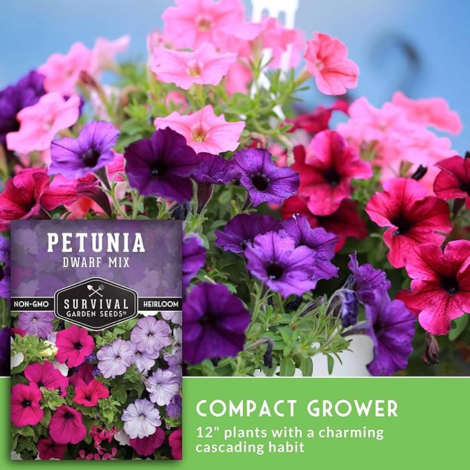 Dwarf Petunia Seed Mix for Planting - Plant & Grow Colorful Flowers to Attract Pollinators to Your Home Garden - Non-GMO Heirloom Variety - Survival Garden Seeds (1 Pack)