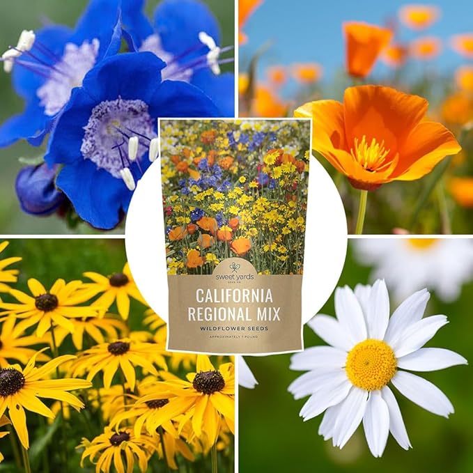 California Natives Mix - Bulk 1 Pound Bag - Over 120,000 Native Seeds - Open Pollinated and Non GMO