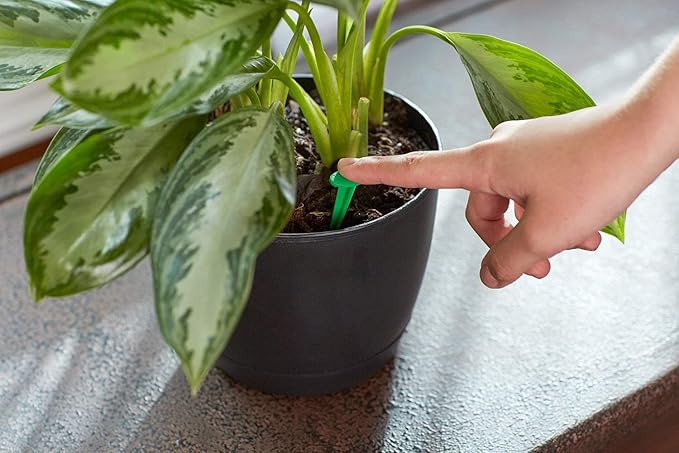 Scotts Indoor Plant Food Spikes, Includes 48 Spikes - Continuous Feeding for all Flowering and Foliage Houseplants - NPK 6-12-6, 48 Count (Pack of 12)