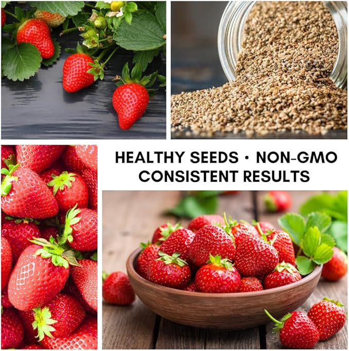Berry Bliss Vegetable Garden Seeds – Heirloom Red Strawberry Variety – Vibrant, Flavorful, Easy-to-Grow Vegetables for Fresh Salads, Cooking & Home Garden Fun