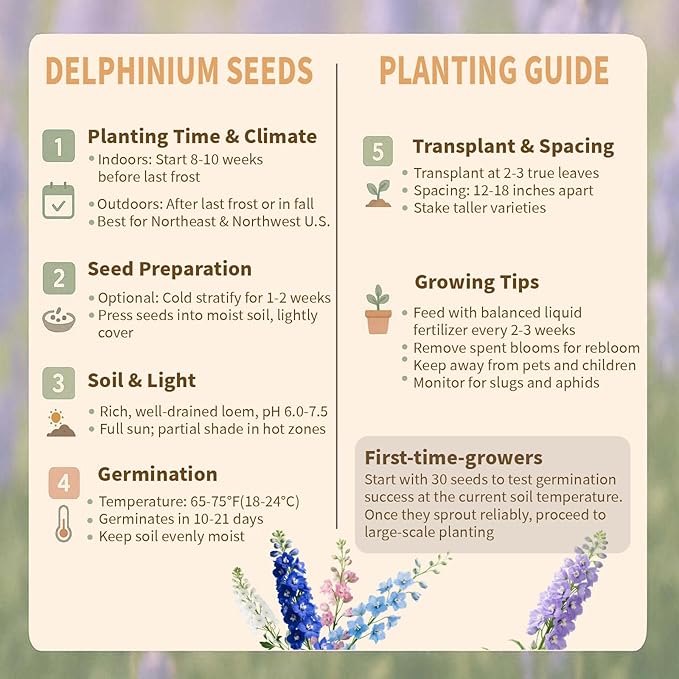 16000+ Delphinium Seeds Perennial - 2 Pack Mixed Color Larkspur Seeds for Planting Outdoors, Delphinium Plants Live, 2026 Flower Seed to Plant Outside, Non-GMO, Garden Wildflower