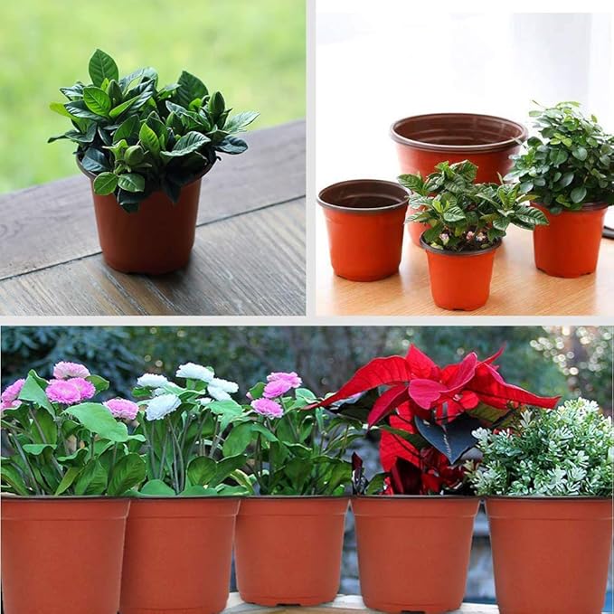 Baaxxango 100 Pcs 3.5 Inch Plastic Seedlings Plants,Nursery Pots,Seed Starting Pot for Succulents, Seedlings, Cuttings, Transplanting
