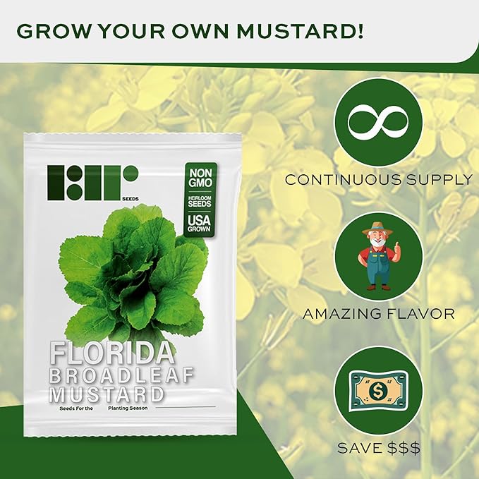 2000 Florida Broadleaf Mustard Seeds for Planting - Heirloom, Non-GMO, USA Grown - Brassica Juncea
