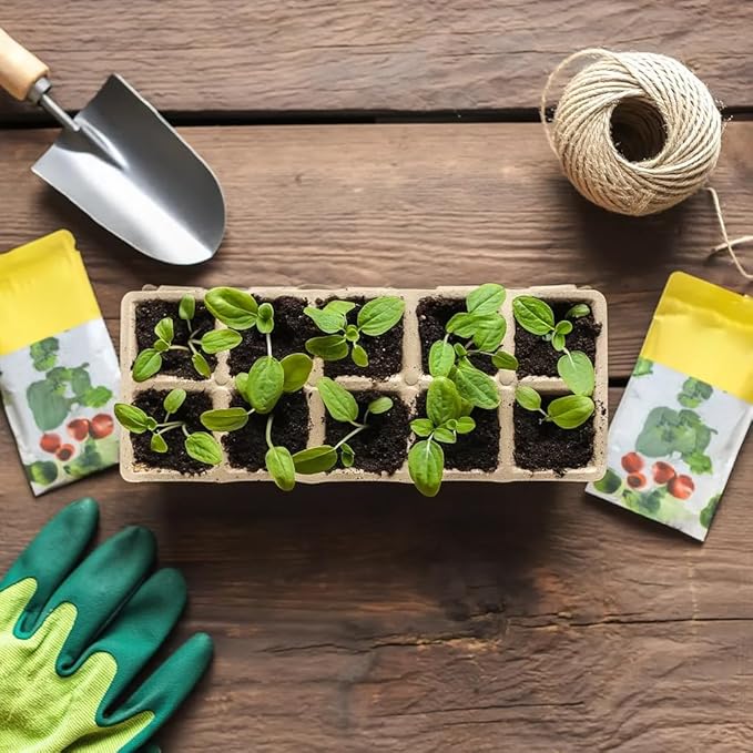 VENTVGAIN 300 Cells Peat Pots Seed Starter Tray 30 Packs Biodegradable Seedling Pots Germination Trays Peat Pot for Seedling Organic Seed Starting Trays kit with (30 packs-300cells)