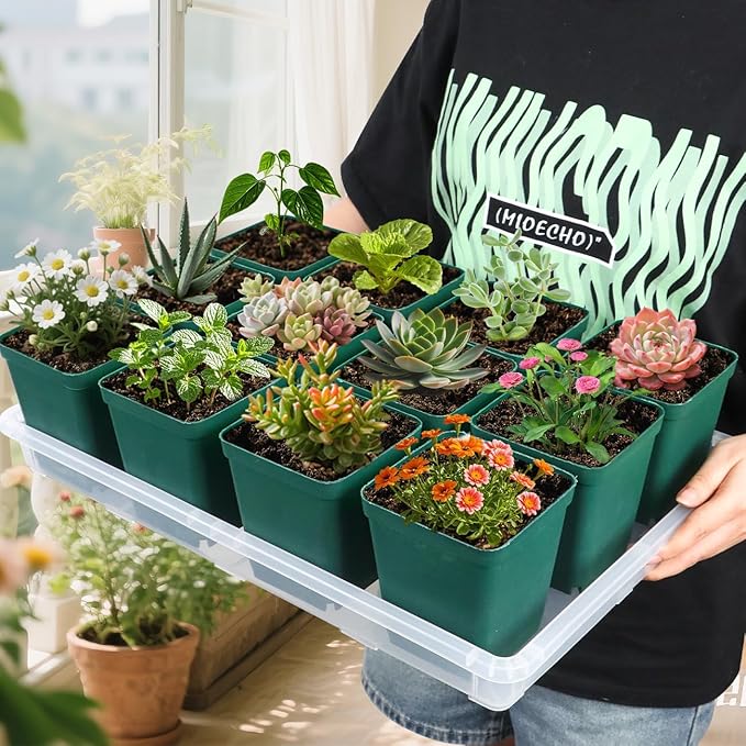 Clear Seed Starter Trays 5 Pack(17"x11"x2"), Reusable Plastic Carrying Seedling & Nursery Trays, Durable Flat Pots Trays, Transparent Square Tray for Planting and Collecting Drainage Water