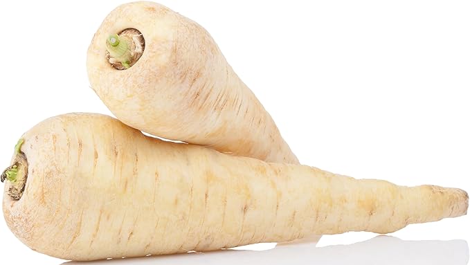 500+ Parsnip Seeds for Planting - All American - Heirloom Non-GMO USA Grown by RDR Seeds