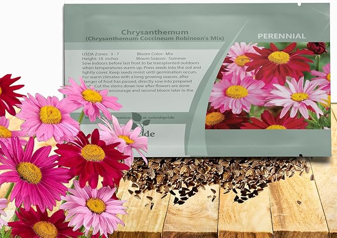 Outsidepride Robinson's Mix Chrysanthemum Seeds - 5000 Pcs. Perennial, Drought Tolerant Flower Seeds for Planting in Pollinator Gardens, Cut Flowers & Low Maintenance Landscaping
