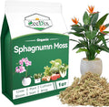 ZeeDix Natural Sphagnum Moss for Plants, Orchid Moss Potting Mix for Repotting, High Water Retention, Help with Maintain Humidity, Plant Moss for Gardening, Hanging Baskets, Reptile Bedding, 1QT