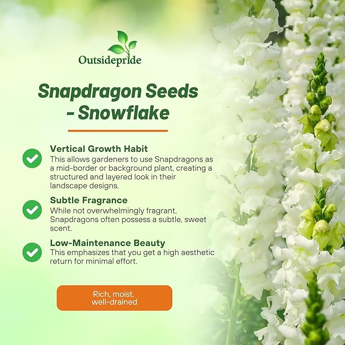 Outsidepride Snowflake Snapdragon Seeds - 5000 Pcs Annual Flower Seeds for Planting, Frost-Tolerant, Pollinator-Friendly Cool-Season Plant with Attractive Blooms for Cut Flower Arrangements