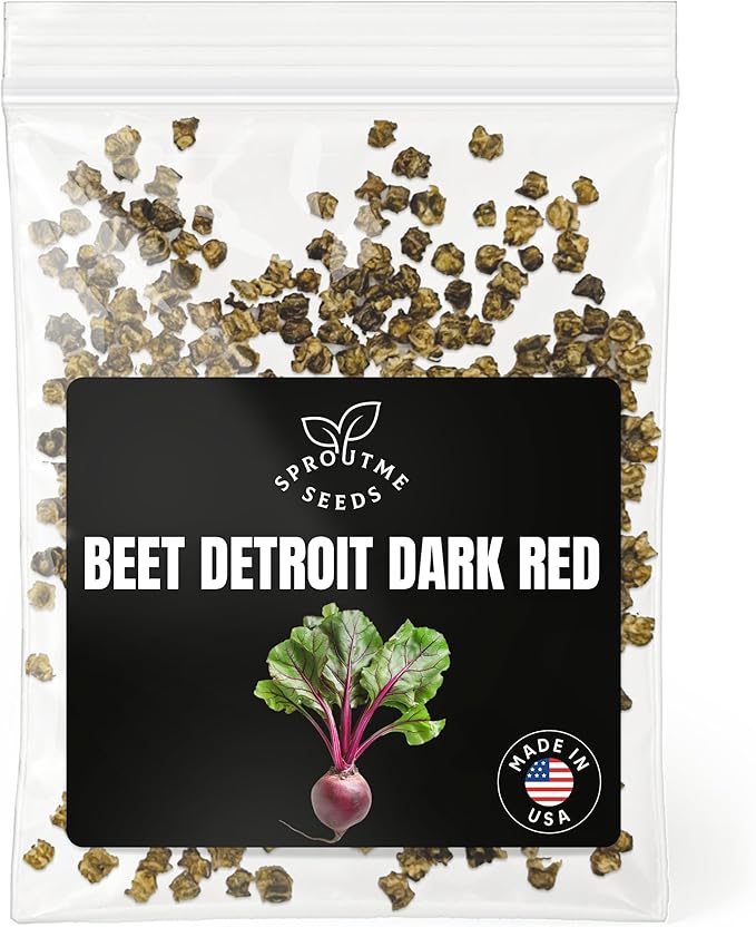 Fall & Winter Beet (Detroit Dark Red) Seeds for Indoor & Outdoor Planting – 300+ Non-GMO Heirloom USA-Grown Sweet Tender Roots & Edible Greens, High Germination (Beta vulgaris)
