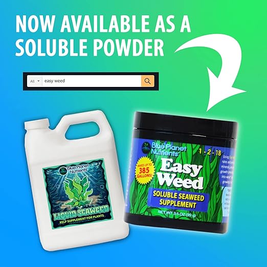 Liquid Kelp Seaweed Fertilizer Concentrate - Blue Planet Nutrients Ascophyllum Nodosum Liquid Seaweed Supplement - Makes 470 Gallons - Quart (32 oz)