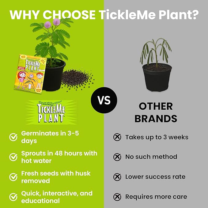 Easter Basket Stuffer – TickleMe Plant Party Favors (2 Pack) – Plant that Moves! Leaves Fold When Touched & Reopen – Kids Grow Kit with Seeds – Fun STEM Gift, Birthday Party Favor