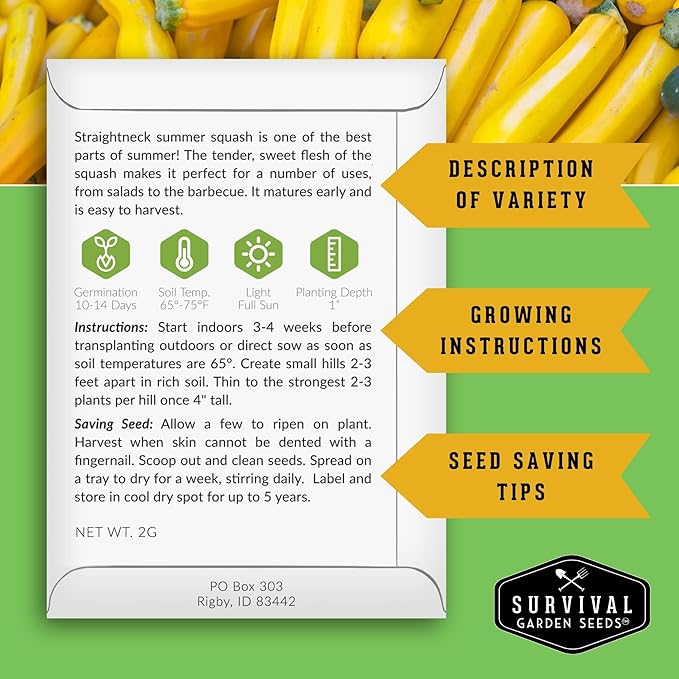 Survival Garden Seeds - Straightneck Summer Squash Seed for Planting - 1 Packet with Instructions to Plant and Grow Yellow Squash in Your Home Vegetable Garden - Non-GMO Heirloom Variety