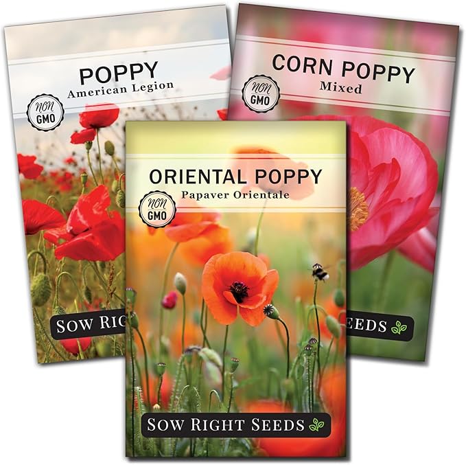 Sow Right Seeds - Poppy Flower Seeds Collection for Planting - Corn, Oriental, American Legion - Non-GMO Heirloom Varieties to Plant & Grow a Beautiful Garden - Perfect for Wildflower Cottage Garden