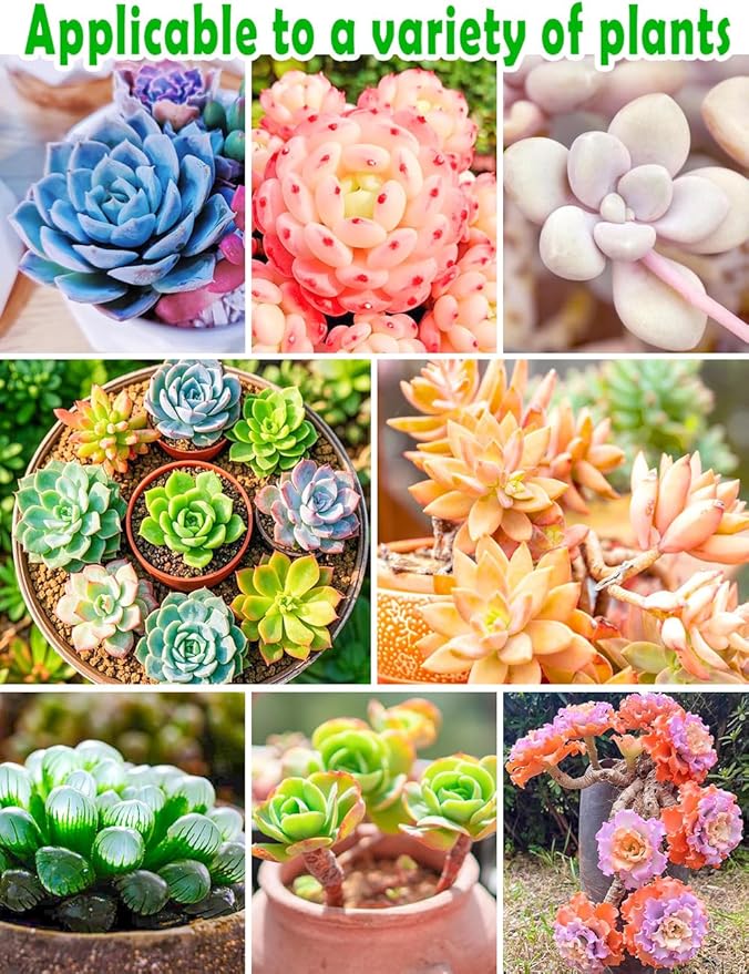TOYPOPOR Succulent Soil, Cactus Potting Mix 1.25 Pounds/1 Quart, High Drainage, Pre-Mixed Ready to Use for All Succulent Varieties, Indoor Plants, Bonsai, Terrarium, Houseplant, 30% Particles 70% Soil