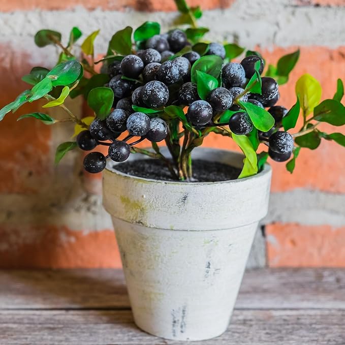 Organic Blueberry Soil Mix, Indoor Plants Potting Mix for All Potted Blueberry, Grow Healthy houseplants Indoors