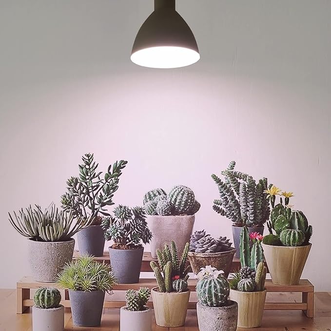 Smart LED PAR38 Grow Light, Dimmable, Sun Mode Dimming - Mimics Real Sunshine, Daily Run Auto Timer, Remote Control - Full Spectrum for Indoor Plant Growth