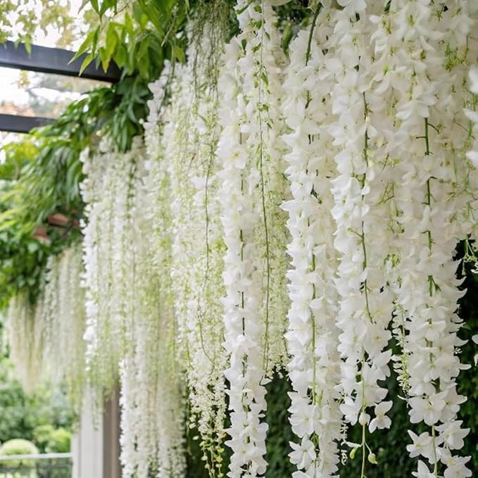 200+ Climbing Weeping Jasmine Flower Seeds Star Jasmine Flower Seeds for Planting Fragrant Plant Seeds Non-GMO Climbing Jasmine Garden Balcony Climbing Flower Garden Home