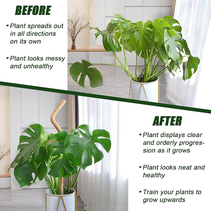 Moss Pole 31.5 Inch, 6 Pack Bendable Moss Pole for Plants Monstera, Moss Poles for Climbing Plants Indoor, Coconut Fiber Plant Poles Support Sticks for Potted Plants (31.5inch × 6pcs)