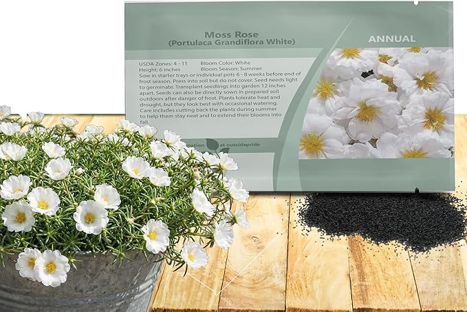 Outsidepride White Moss Rose Seeds - 10000 Pcs Annual, Drought & Heat Tolerant, Pollinator Friendly Ground Cover Seeds for Planting w/Vibrant Blooms & Succulent Foliage, Ideal for Xeriscaping